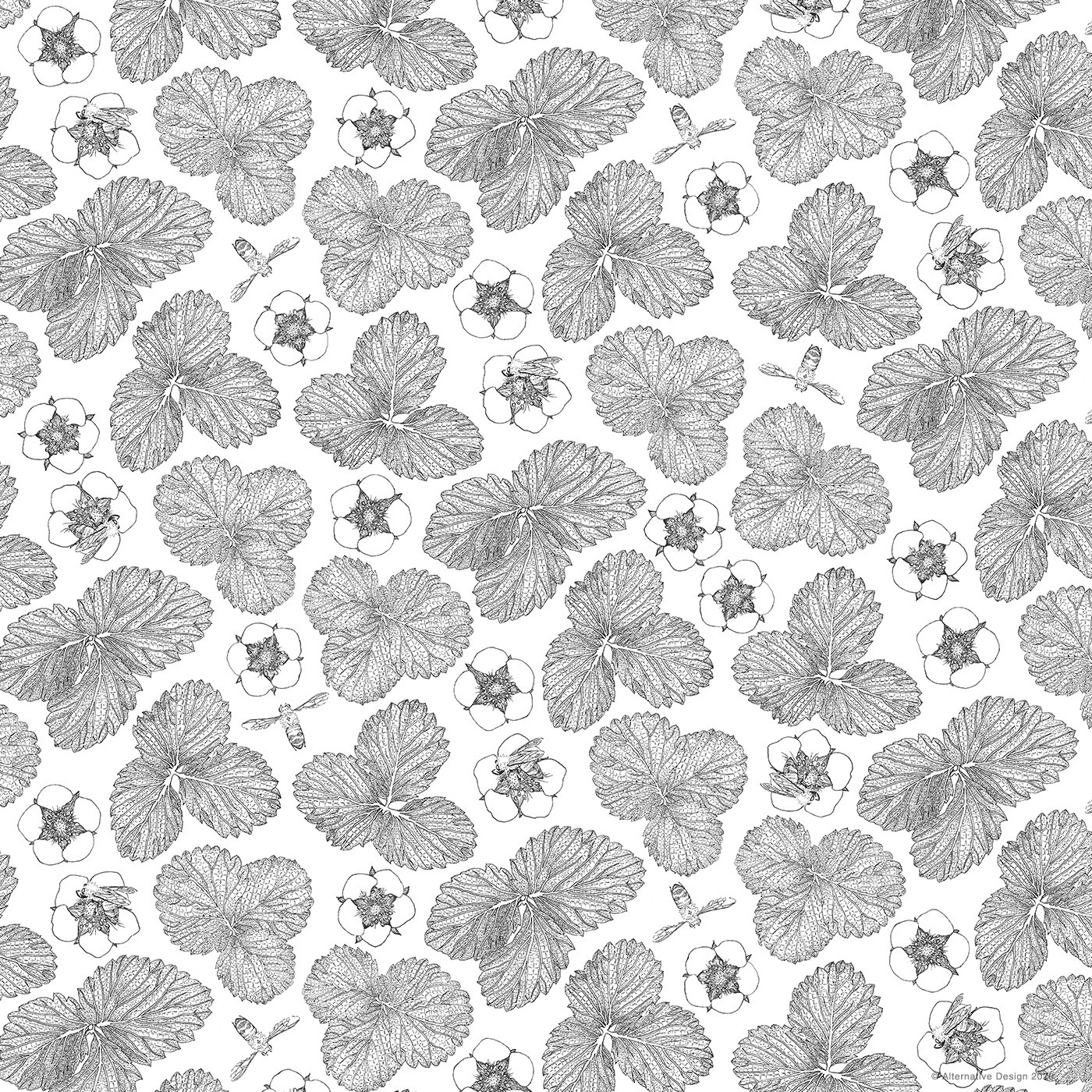 いちごの花と葉とミツバチのイラスト