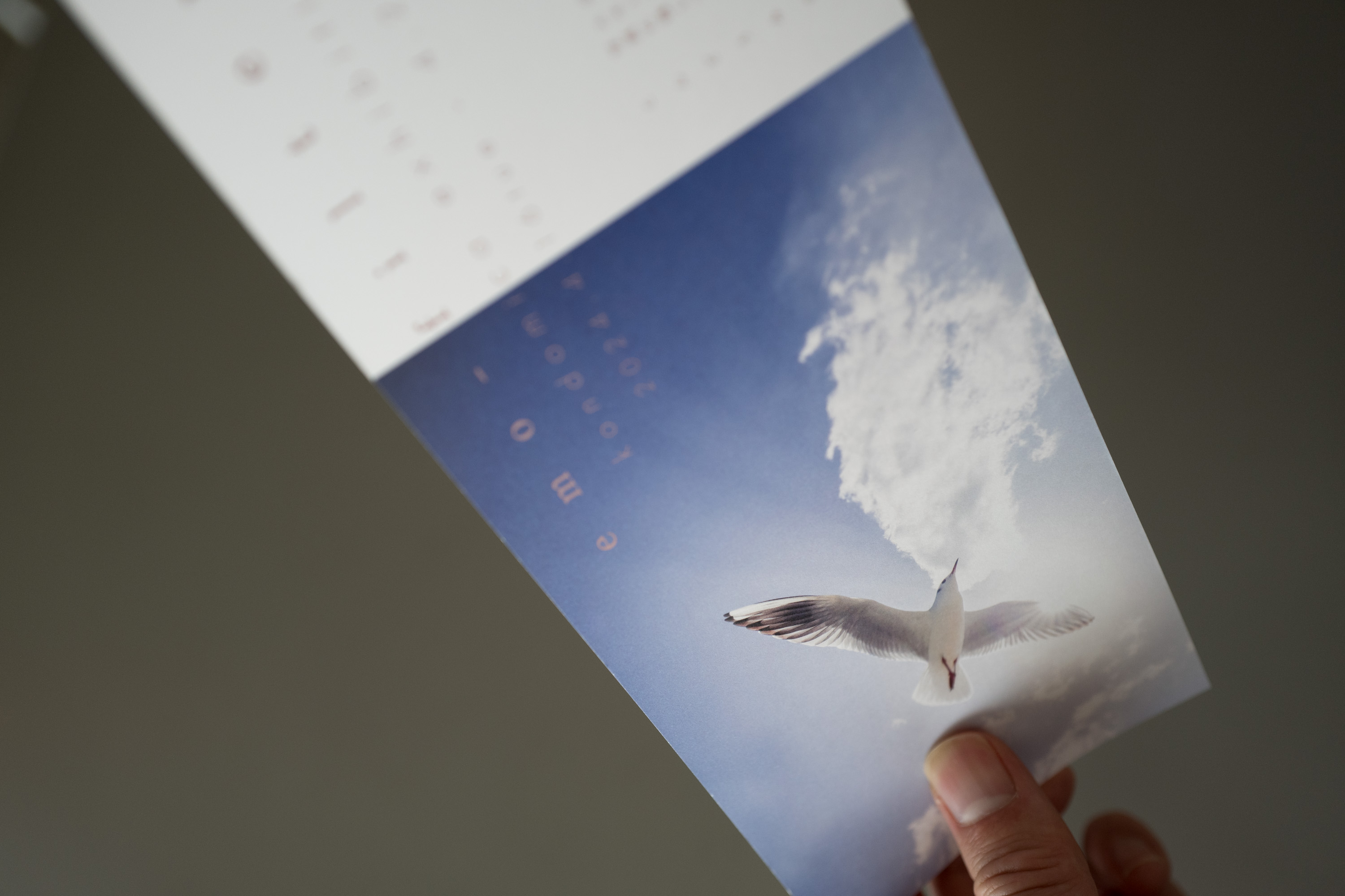 メインビジュアル